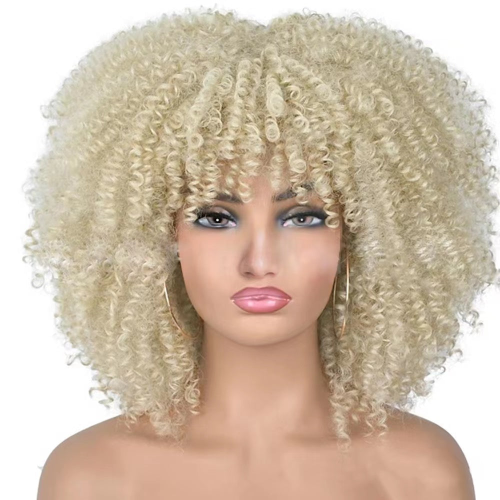 Mywigsland 16 Inch Extra Thick Realistic Kinky Curly Shoulder Length Synthetic Afro Wig